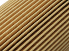Photo - Close Up